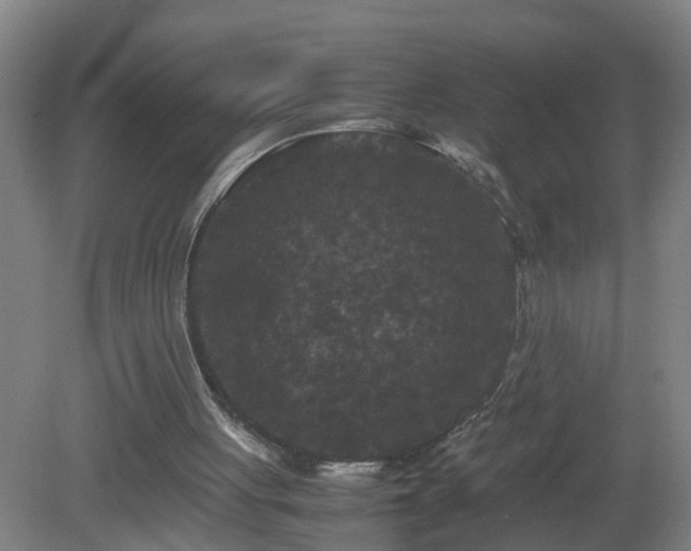 X0000081330051200701182005