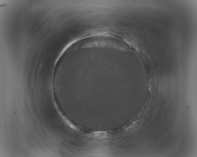 X0000081330052200701182005