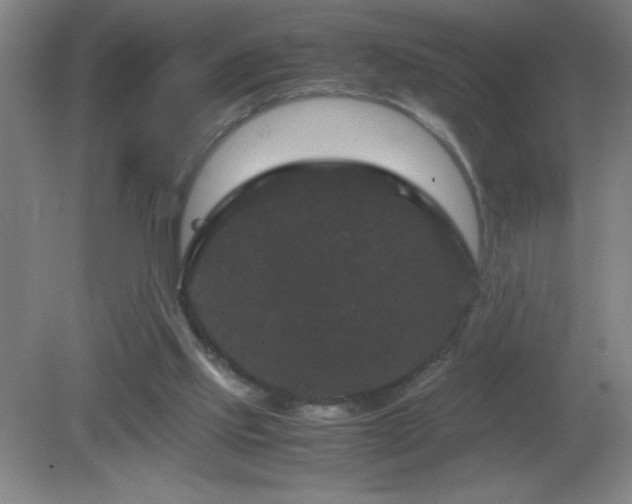 X0000081330061200701182005