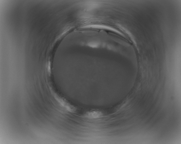 X0000081330067200701182005