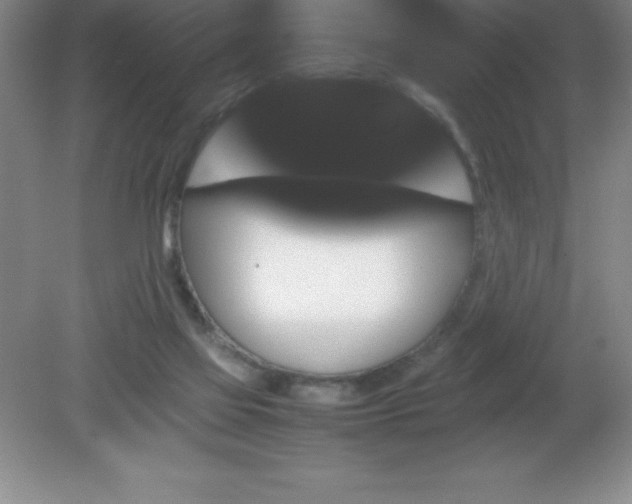 X0000081330069200701182005