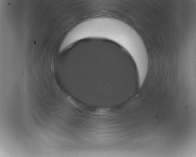 X0000081330080200701182005