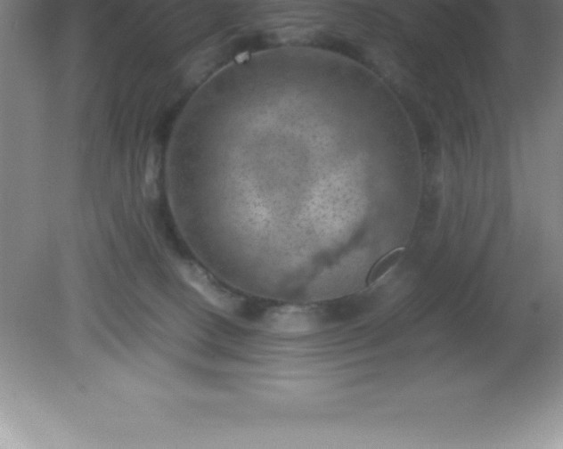 X0000081330082200701182005