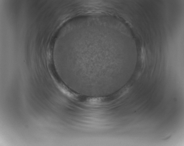 X0000081330084200701182005