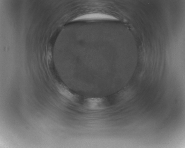 X0000081330085200701182006
