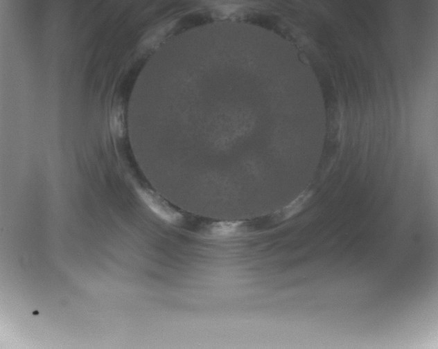 X0000081330090200701182006