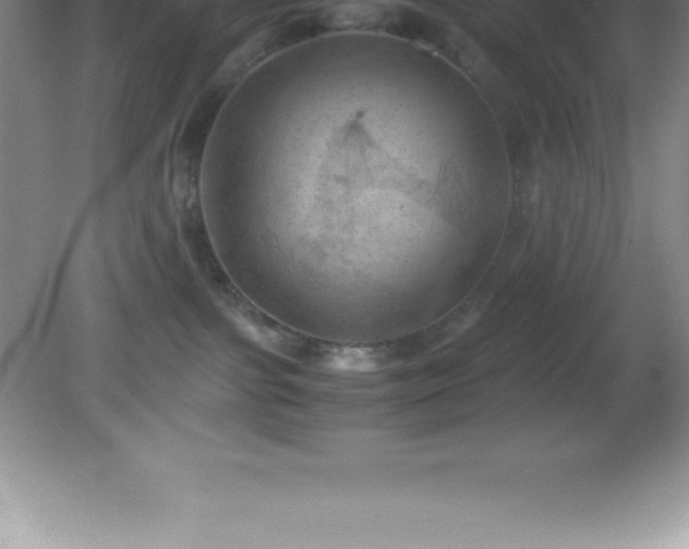 X0000081330091200701182006
