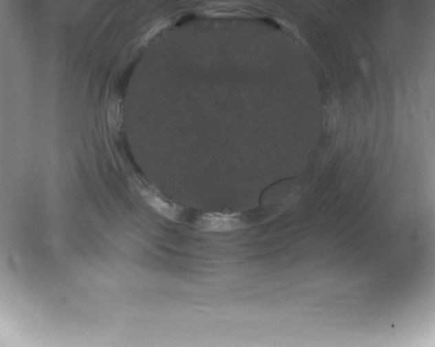X0000081330093200701182006