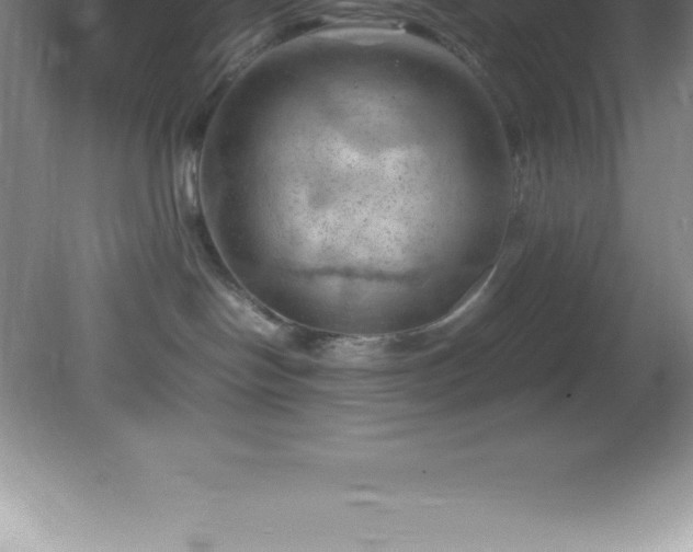X0000081330094200701182006