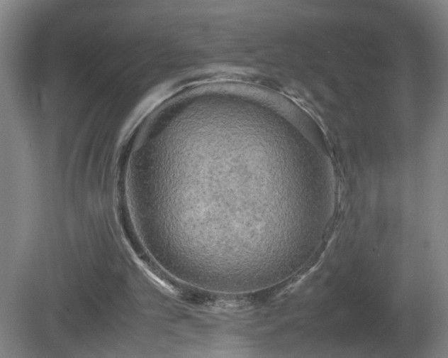 X0000081330101200701182005