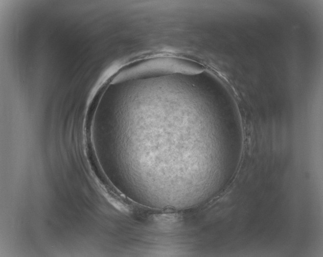 X0000081330102200701182005