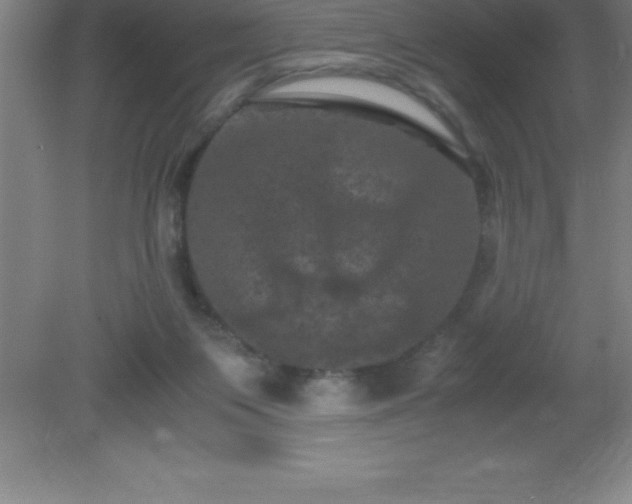 X0000081330119200701182005