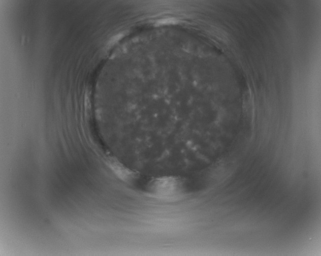X0000081330127200701182004