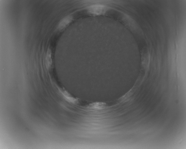 X0000081330128200701182004