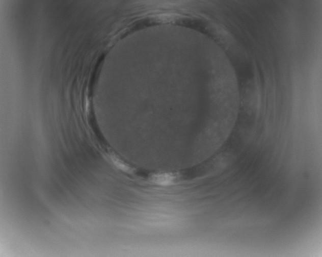 X0000081330131200701182004