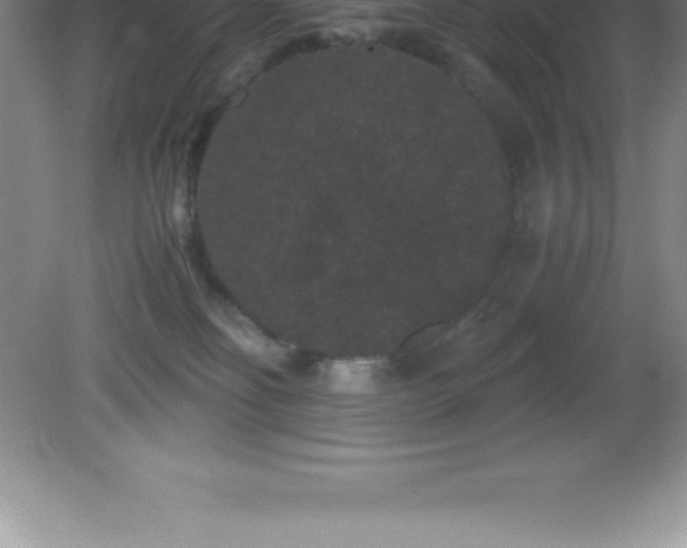 X0000081330134200701182004