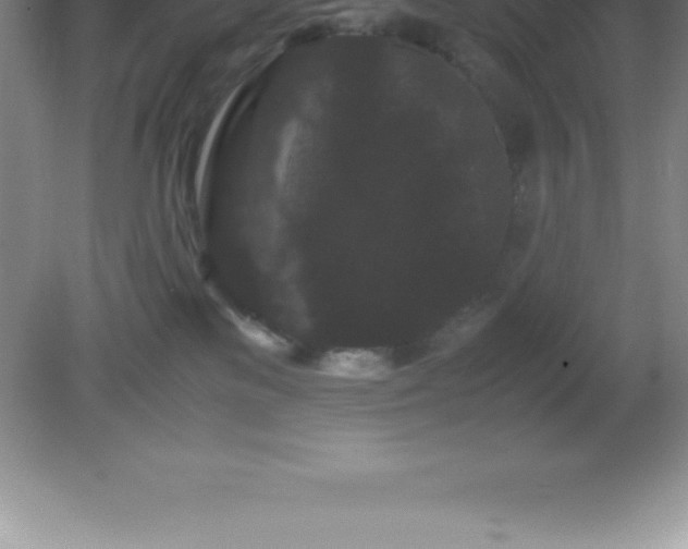X0000081330137200701182004