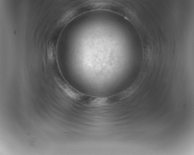 X0000081330138200701182004