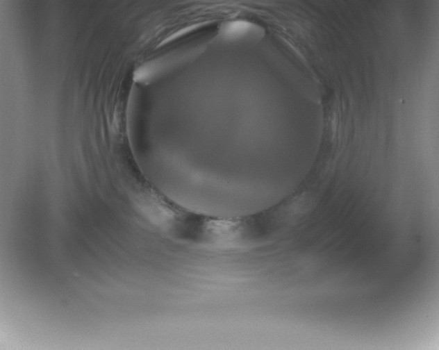 X0000081330139200701182004