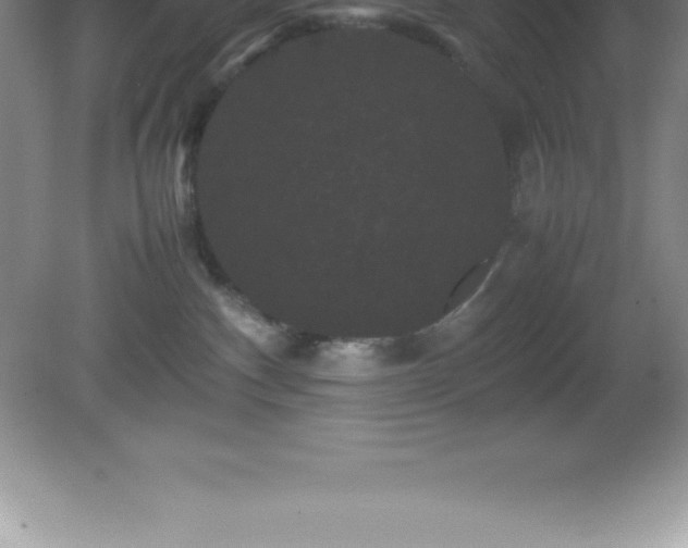 X0000081330140200701182004