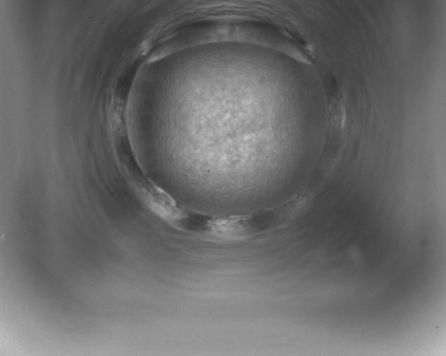 X0000081330141200701182004