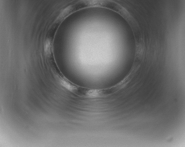 X0000081330142200701182004