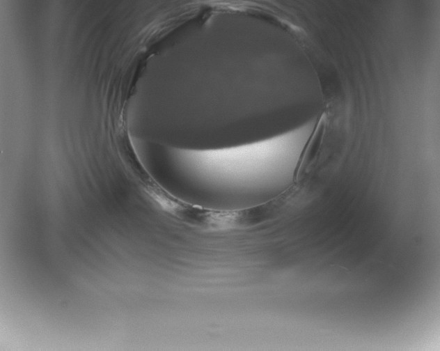 X0000081330143200701182004