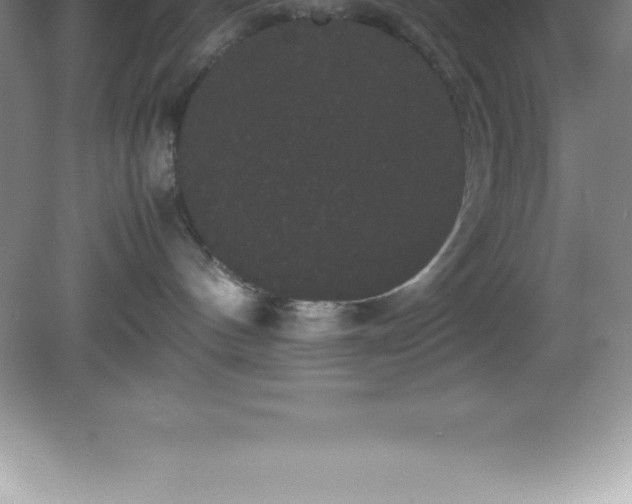 X0000081330144200701182004