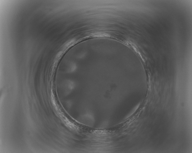X0000081330145200701182003