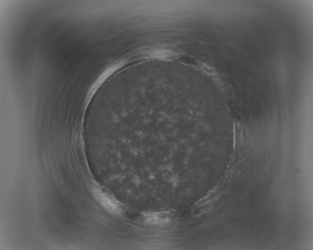 X0000081330147200701182003