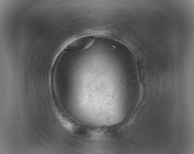 X0000081330148200701182003