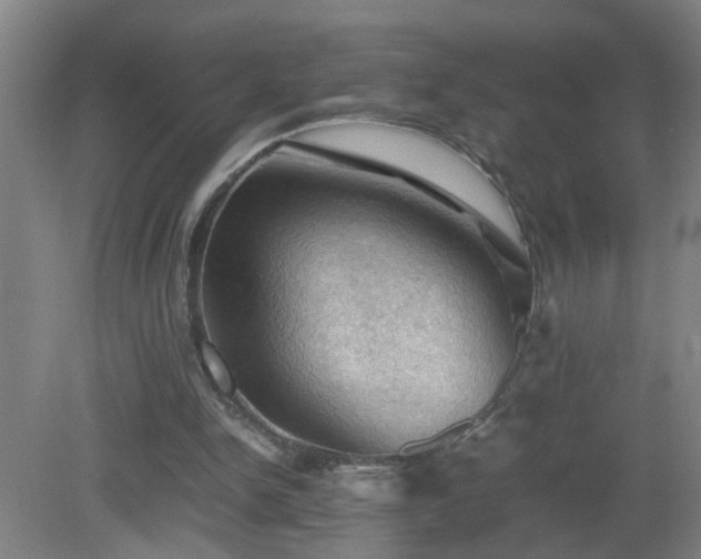X0000081330150200701182003