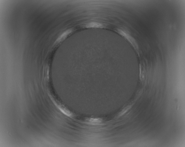 X0000081330157200701182003