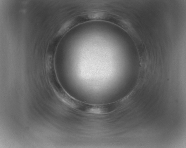 X0000081330171200701182004