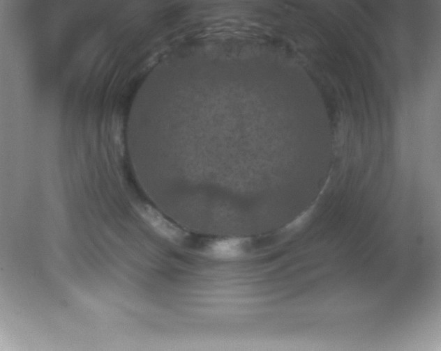 X0000081330178200701182004