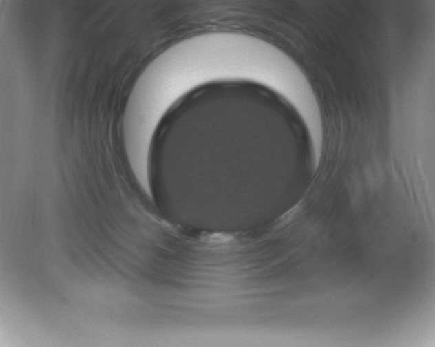 X0000081330180200701182004