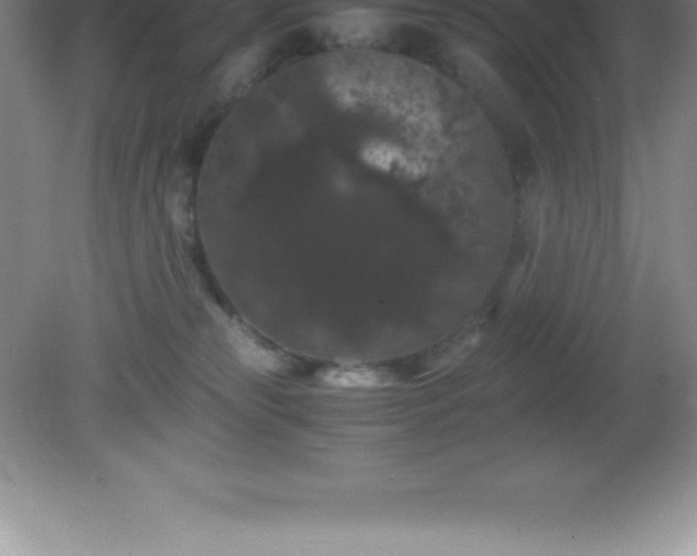 X0000081330181200701182004
