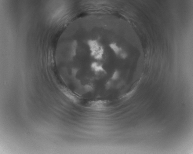 X0000081330182200701182004