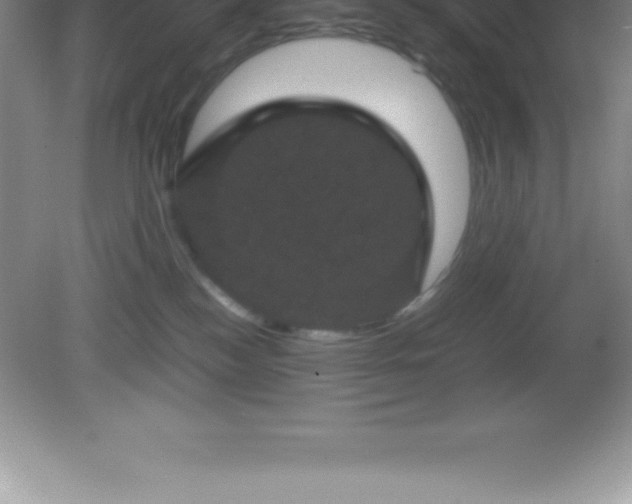 X0000081330184200701182004