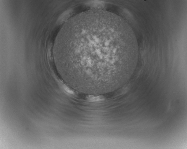 X0000081330185200701182004