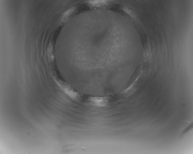 X0000081330187200701182004