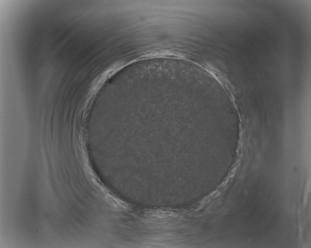 X0000081330193200701182003