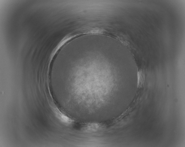 X0000081330195200701182003