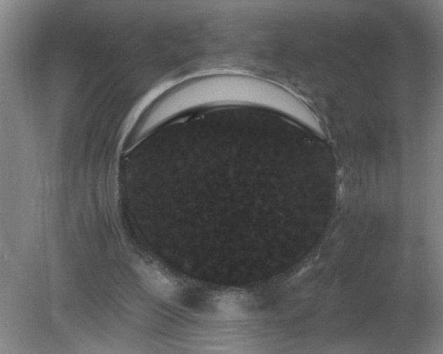 X0000081330200200701182003