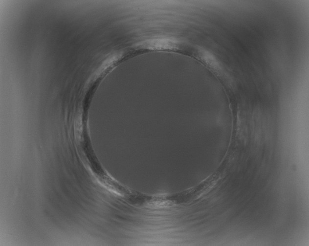 X0000081330202200701182003