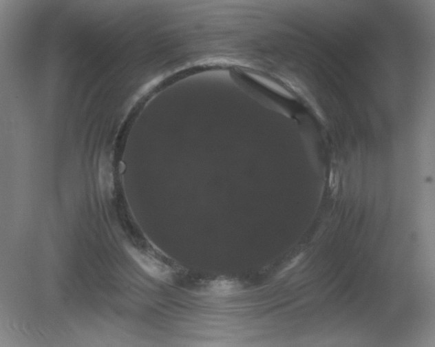 X0000081330204200701182003