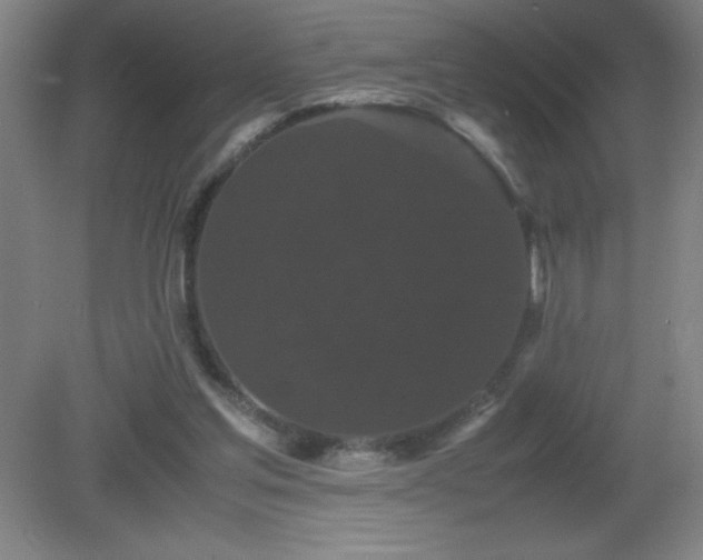 X0000081330205200701182003