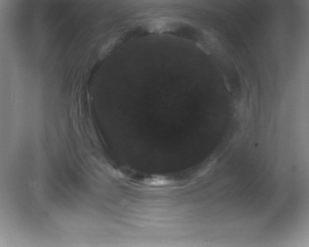 X0000081330219200701182003