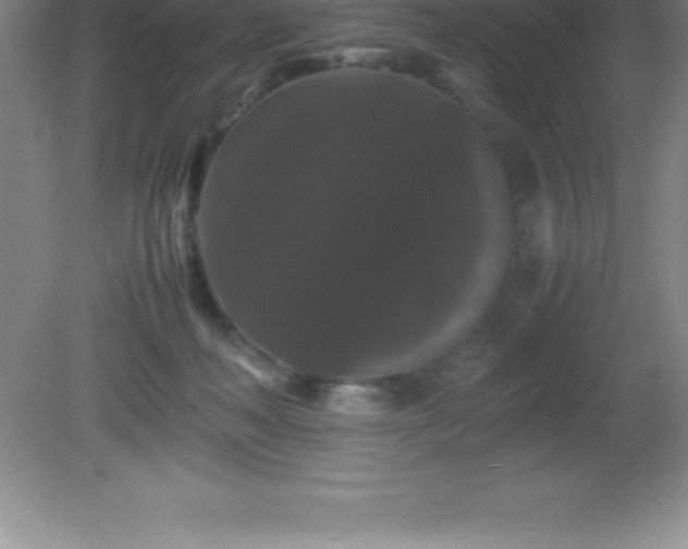 X0000081330222200701182003