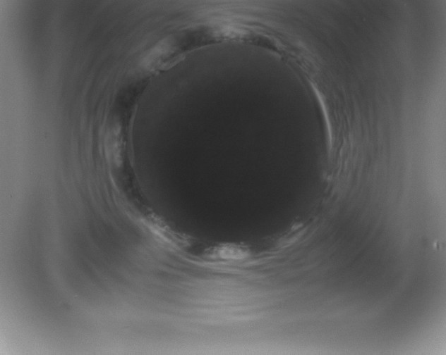 X0000081330223200701182003